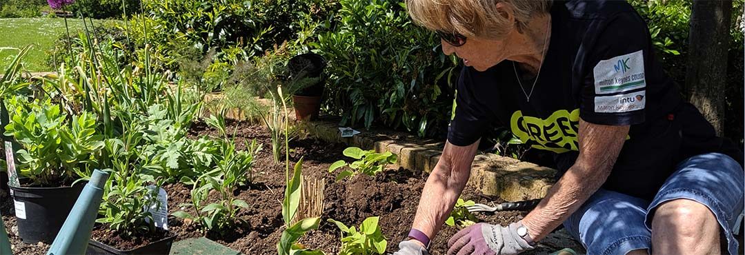 A woman gardening whilst taking part in a Green Gym